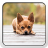 icon com.apex.nova.go.adw.holo.launcher.theme.chihuahua 4.0