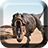 icon Dinosaurs Live Wallpaper 1.11