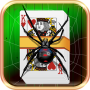 icon Spider Solitaire