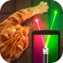 icon Laser for cat 100 lights Prank