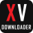 icon Video Downloader 1.1