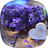 icon Lavender Live Wallpaper 2.5