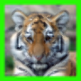 icon Tigers Puzzle