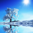 icon Winter wallpaper HD AG 1.0