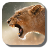 icon Lion 1.4