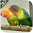 icon Lovebird Live Wallpaper 1.11