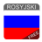 icon Rosyjski 9.0.7