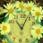 icon flower clock live wallpaper 6.00