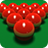 icon Pro Snooker 2024 1.56