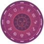 icon Astro Horoscope for Xgody S14