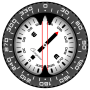 icon Compass PRO for Cubot Note Plus