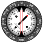 icon Compass PRO for LG K5