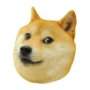 icon DOGE 2048