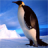 icon Penguin Jigsaw Puzzles 2.9.39