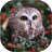 icon Owls live wallpaper 5.0