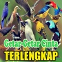 icon Suara Burung Lengkap