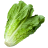 icon Lechuga Paralela 5.69.31