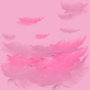 icon com.pink.feathers.livewallpaper.hq