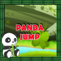 icon Panda Jump