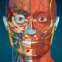 icon Anatomy Learning - 3D Anatomy for Samsung Galaxy Grand Prime