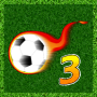 icon True Football 3