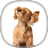 icon Cocker Spaniel Wallpapers 4.1.5