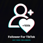 icon Followers For Tiktok