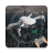 icon GoFlyD.J.IDrone 9.0