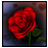 icon 3D Rose Bouquet Live Wallpaper 1.03