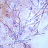 icon Urinemicro 1.11