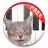 icon CatPiano 1.2.0