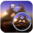 icon PIP Camera 1.6