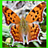 icon Butterfly Puzzle 1.06