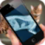 icon Simulation XRay Cat for intex Aqua Lions X1+