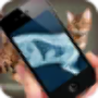 icon Simulation XRay Cat for Samsung Galaxy Mega 6.3 I9200