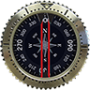 icon Compass Pro