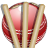 icon Cricket Team dress up 1.0.0