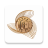 icon CBE Mobile Banking 5.2.1