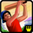 icon Gully Cricket 1.7