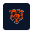 icon Bears 4.1.4