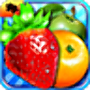 icon Fruit Puzzles