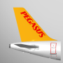 icon Pegasus: Cheap Flight Tickets for Huawei MediaPad M3