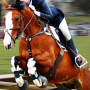 icon 3D Horse Simulator
