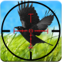 icon Crow Hunting Game 3D 2016