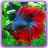 icon Betta Fish 2.0