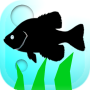 icon Fishing Traveler for Samsung Galaxy Golden(I9230)