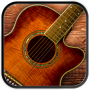 icon Play Acoustic Guitar for Samsung P1000 Galaxy Tab