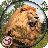 icon Jungle Animal Hunting 1.9