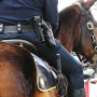 icon Police Horse Training