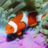 icon Underwater Jigsaw Puzzles 2.12.10